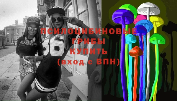 jwh Пересвет